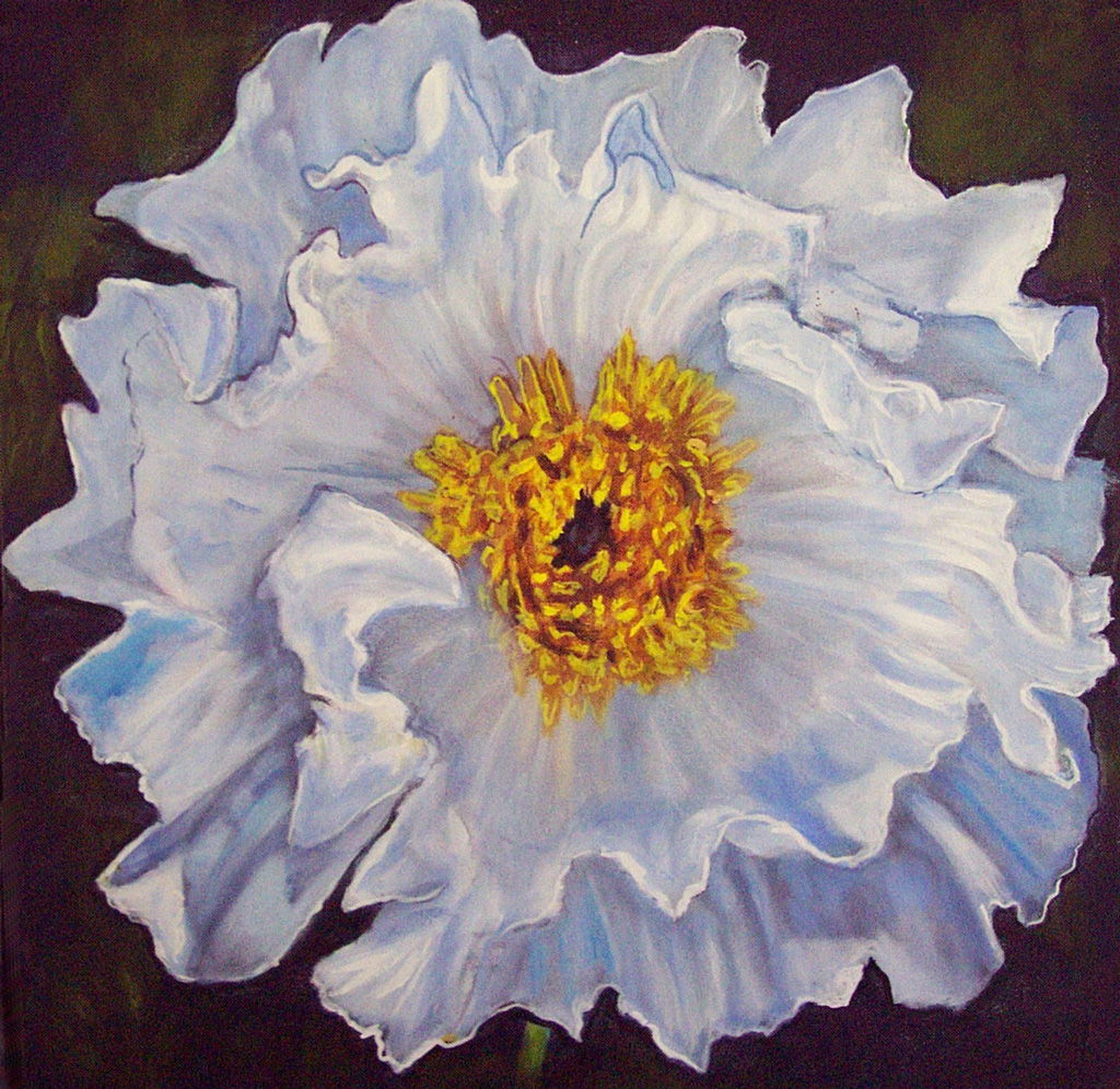 White Poppy/Garden Suite - Acrylic on canvas, 18”x18”, 2007