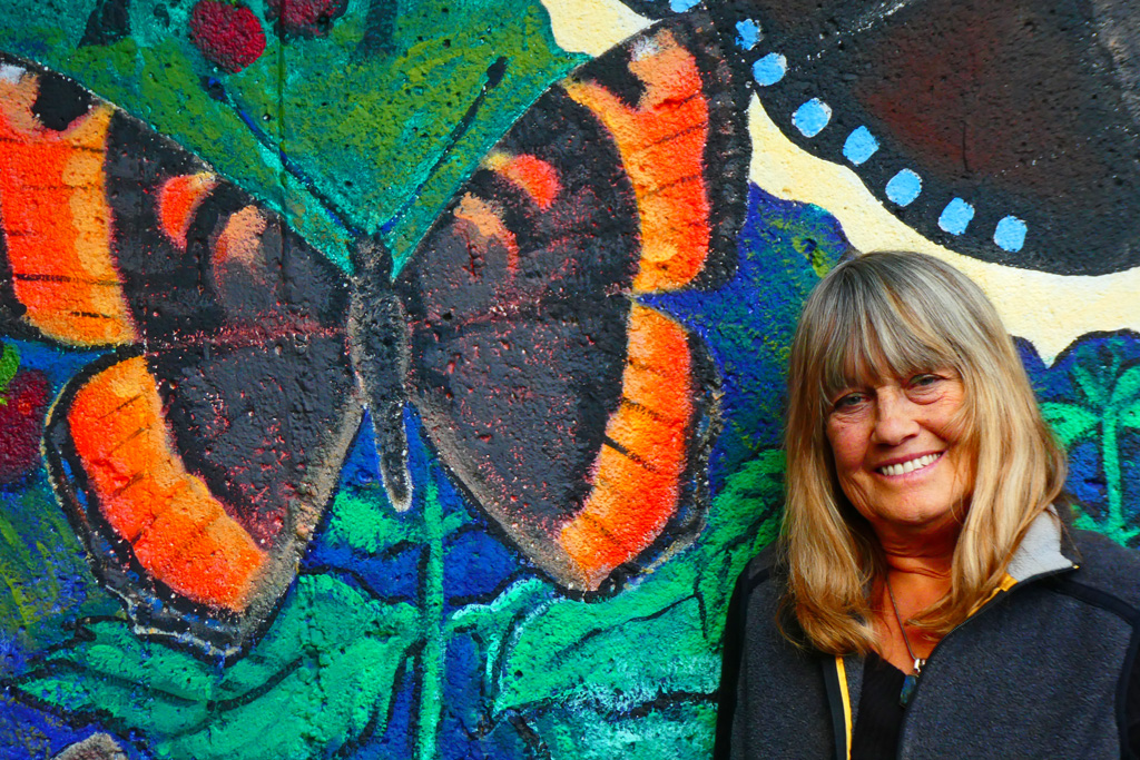 Detail Mildred’s Tortoiseshell, Butterfly Mural, 2017