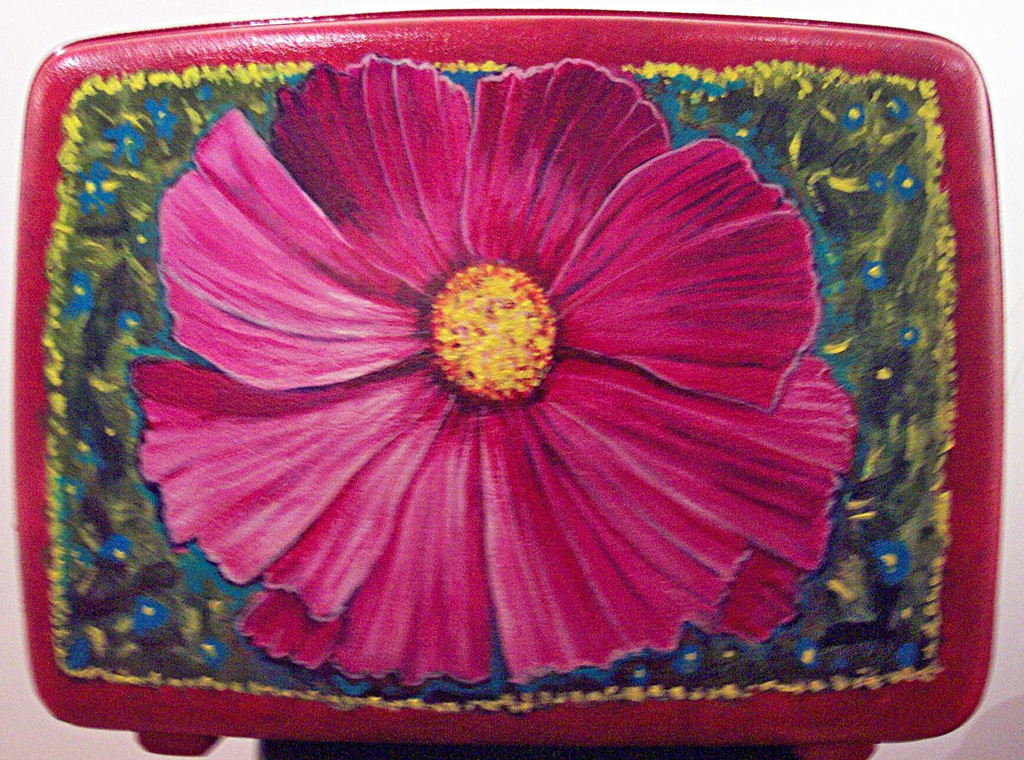 Cosmos for Africa, Acrylic on suitcase 2007