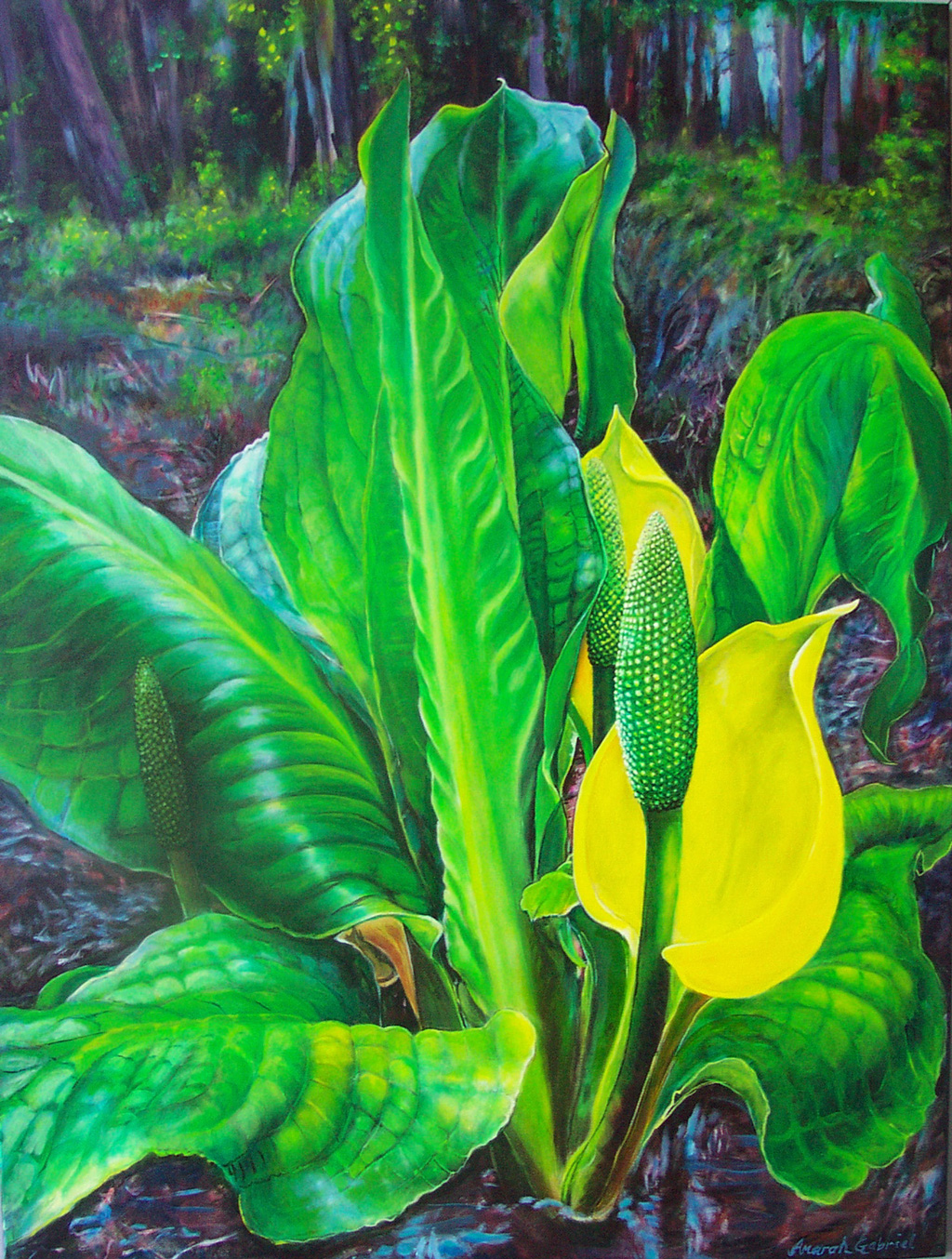 Lysichiton americanus - Acrylic on canvas, 3’x4’, 2007